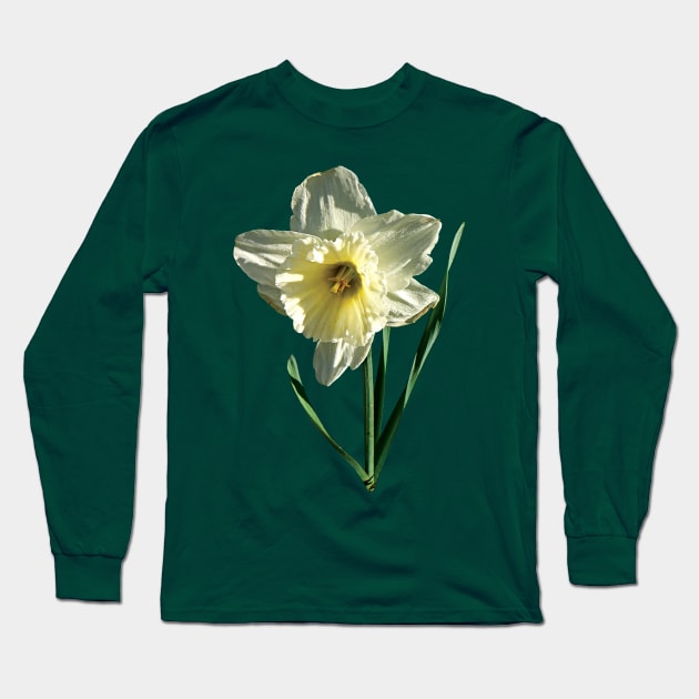 Daffodils - White Daffodil Long Sleeve T-Shirt by SusanSavad